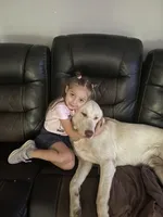 processed/bb4ee086-9f1f-4390-837f-5e771dd9a0fa/facility/dcef0dc6-ef37-4449-9e05-2261fdda88d3