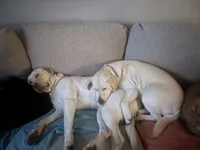 processed/bb4ee086-9f1f-4390-837f-5e771dd9a0fa/facility/dd8937bd-2124-4651-bad6-0653f4426711