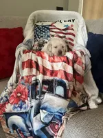 Gomer, a male Labrador Retriever for sale in Gold Hill, NC – Photo 5 of 5