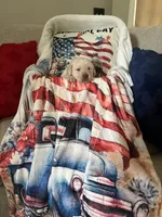 Gomer, a male Labrador Retriever for sale in Gold Hill, NC – Photo 3 of 5