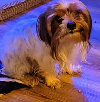 processed/bb57b07e-135e-4467-9346-7edde1fa007a/listing/f0d5d477-2802-4490-a8f1-ab7c07c58cfc/2c02b3bd-67ea-4961-9c9c-c857d8524b0d