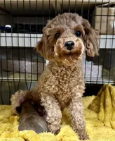 processed/bb57b07e-135e-4467-9346-7edde1fa007a/listing/f0d5d477-2802-4490-a8f1-ab7c07c58cfc/336093da-f4c1-44be-b96a-aaa2ac9f254e