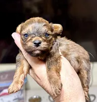 processed/bb57b07e-135e-4467-9346-7edde1fa007a/listing/f0d5d477-2802-4490-a8f1-ab7c07c58cfc/377f5dba-57b4-4d15-a060-411d6e586c46