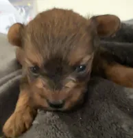 processed/bb57b07e-135e-4467-9346-7edde1fa007a/listing/f0d5d477-2802-4490-a8f1-ab7c07c58cfc/5d6c9d3f-69bc-46fc-be22-f591ba194b2d