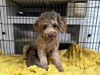 processed/bb57b07e-135e-4467-9346-7edde1fa007a/listing/f0d5d477-2802-4490-a8f1-ab7c07c58cfc/71f5db57-8127-44ce-82d5-7a45ec50f677