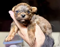 processed/bb57b07e-135e-4467-9346-7edde1fa007a/listing/f0d5d477-2802-4490-a8f1-ab7c07c58cfc/b5a57d95-52c2-4135-a559-9322d21ee8ee