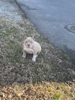 processed/bb5c40c1-2b1f-47d1-b747-92e5a532cdf6/listing/f67d6c6a-bb81-4e4b-905a-ddb56d5faa46/32fab17d-8931-4db2-9503-bffbc320be1a