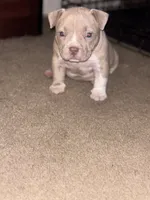 processed/bb5c40c1-2b1f-47d1-b747-92e5a532cdf6/listing/f67d6c6a-bb81-4e4b-905a-ddb56d5faa46/3767a611-42f2-4c9b-b428-a5b7da258f13