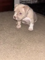 processed/bb5c40c1-2b1f-47d1-b747-92e5a532cdf6/listing/f67d6c6a-bb81-4e4b-905a-ddb56d5faa46/3ce282d8-cb41-404a-889f-59ac36fab053