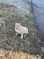 processed/bb5c40c1-2b1f-47d1-b747-92e5a532cdf6/listing/f67d6c6a-bb81-4e4b-905a-ddb56d5faa46/d7808935-d8ea-4811-befa-4b7781d16e7a