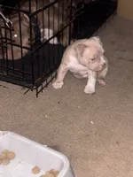 processed/bb5c40c1-2b1f-47d1-b747-92e5a532cdf6/listing/f67d6c6a-bb81-4e4b-905a-ddb56d5faa46/e003bb00-e5e4-4bef-865b-24896f38147f