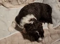 processed/bb732a2f-40db-4bcf-ab48-1308269e4e85/listing/5bd322e8-7be4-4bb6-bc4c-93b7583d92b8/de22d921-e44c-4117-bd3a-f26102f1af31