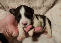 processed/bb732a2f-40db-4bcf-ab48-1308269e4e85/listing/65f50bff-0479-4dda-b015-786c34b5b225/c5e27ff3-f797-4721-bb97-7e2c660fa90e