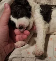 processed/bb732a2f-40db-4bcf-ab48-1308269e4e85/listing/65f50bff-0479-4dda-b015-786c34b5b225/d1f7bcc4-6da5-4431-8396-917db34bc40f