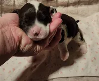 processed/bb732a2f-40db-4bcf-ab48-1308269e4e85/listing/76cd66f2-8f01-45fa-87a0-3df2834178df/59961a4c-f482-4a81-a494-59517075d6f2