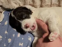 processed/bb732a2f-40db-4bcf-ab48-1308269e4e85/listing/c97018b3-4f5f-42e6-a3c6-669e04fce399/d58d0e24-55db-4320-a47a-d6ae543ed171