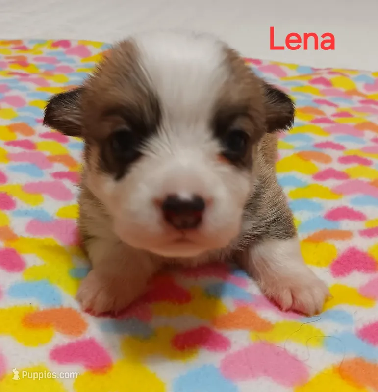 Lena