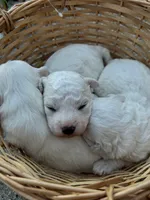 processed/bb7ef00c-e10e-430d-8fac-82b59516877f/listing/74224a46-f688-43ae-9ab2-b4e7abc04179/0debd35c-a2ae-42fe-8d9b-4236751aaf5e