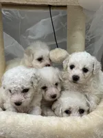 processed/bb7ef00c-e10e-430d-8fac-82b59516877f/listing/a97c8d94-3861-4135-b7ff-4a210f84b9f3/241d1be3-b75b-44d8-942f-13a9121d1591