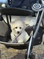 processed/bb7ef00c-e10e-430d-8fac-82b59516877f/listing/a97c8d94-3861-4135-b7ff-4a210f84b9f3/63eb5448-d11d-49ce-8456-7ce08125c0cc