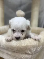 processed/bb7ef00c-e10e-430d-8fac-82b59516877f/listing/a97c8d94-3861-4135-b7ff-4a210f84b9f3/780131dd-2c6e-4edd-a031-a1d6ad1a61ee