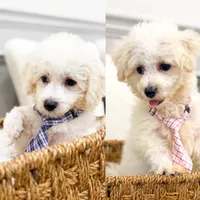 processed/bb7ef00c-e10e-430d-8fac-82b59516877f/listing/a97c8d94-3861-4135-b7ff-4a210f84b9f3/ab8c548e-a2a3-4556-817b-0fa534ddf761