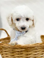 processed/bb7ef00c-e10e-430d-8fac-82b59516877f/listing/a97c8d94-3861-4135-b7ff-4a210f84b9f3/aeeafb6f-9e17-41d1-9040-0281a2216593