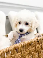 processed/bb7ef00c-e10e-430d-8fac-82b59516877f/listing/a97c8d94-3861-4135-b7ff-4a210f84b9f3/fd8b713d-dbc8-4d82-8f63-b642d419852a