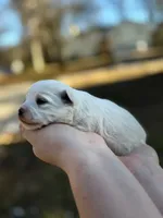 processed/bb7ef00c-e10e-430d-8fac-82b59516877f/listing/b5624f13-b7a6-4c87-81a8-a3441bd9c1e5/adc571ae-fc97-4e06-81d1-36a86c2e7942