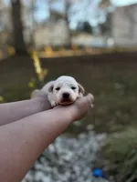 processed/bb7ef00c-e10e-430d-8fac-82b59516877f/listing/b5624f13-b7a6-4c87-81a8-a3441bd9c1e5/fafbc9db-44fe-4e05-b943-98168f572be5