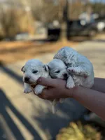 processed/bb7ef00c-e10e-430d-8fac-82b59516877f/listing/bd484bfd-f263-4fe4-b7dc-ad73516edf7f/19f80ad8-df83-424d-a111-59e3de87292b