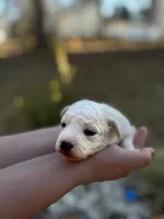 processed/bb7ef00c-e10e-430d-8fac-82b59516877f/listing/bd484bfd-f263-4fe4-b7dc-ad73516edf7f/59c44b08-981b-4920-972c-07a0bba52cbd