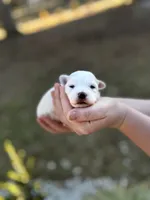 processed/bb7ef00c-e10e-430d-8fac-82b59516877f/listing/bd484bfd-f263-4fe4-b7dc-ad73516edf7f/5d24e3bb-1958-4231-a87d-63327c282591