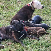 processed/bb8402fa-f754-4a7a-97fa-b29ba23a693f/facility/5ef210dc-f1d3-4762-9b53-f1a6c0b19df1