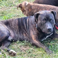 processed/bb8402fa-f754-4a7a-97fa-b29ba23a693f/facility/6e0289ef-cdf1-4912-907d-5bdfa7254eed