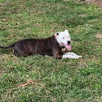 processed/bb8402fa-f754-4a7a-97fa-b29ba23a693f/facility/babca419-71df-4ca2-b53f-e6e8ddda3f81