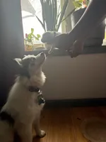 processed/bb8fd1d0-2297-44fa-b0d4-9bdbd15234c0/facility/0985abce-2ece-4787-8430-e63e98105fdd