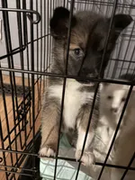 processed/bb8fd1d0-2297-44fa-b0d4-9bdbd15234c0/facility/15925b0e-6d43-4383-a1ca-a3c12235b4fe