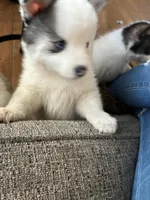 processed/bb8fd1d0-2297-44fa-b0d4-9bdbd15234c0/facility/1b6944cf-a7dc-43ba-a926-42198fd62f42