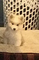 processed/bb8fd1d0-2297-44fa-b0d4-9bdbd15234c0/facility/82bb8341-eea7-4bfb-8c33-ff12bb53bce2