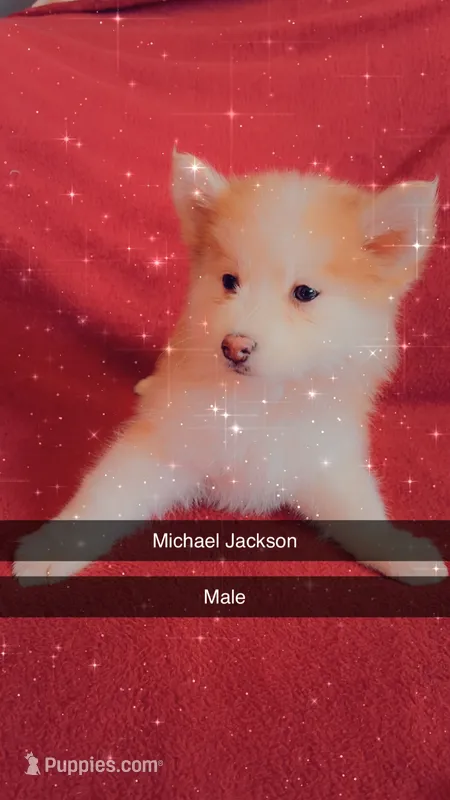 Michael Jackson