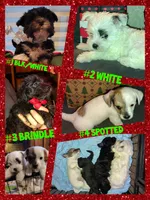 processed/bb93cd11-aa5d-405e-a39d-c226e25df1d6/listing/741a8811-c582-4b7c-8a51-c37fbeab9e3c/04a5e64b-45c0-45c8-8496-64482bd4bc07