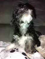 processed/bb93cd11-aa5d-405e-a39d-c226e25df1d6/listing/741a8811-c582-4b7c-8a51-c37fbeab9e3c/c73ee789-0ef9-437b-a652-69c667352b4b