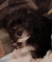 processed/bb93cd11-aa5d-405e-a39d-c226e25df1d6/listing/741a8811-c582-4b7c-8a51-c37fbeab9e3c/e4111743-9ceb-4723-8061-7438093e8e1b