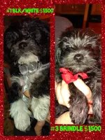 processed/bb93cd11-aa5d-405e-a39d-c226e25df1d6/listing/da0e8c69-345b-4259-9a9d-5449a0d9f853/c215d237-7a0f-409f-af83-1afa7d9b4a4b