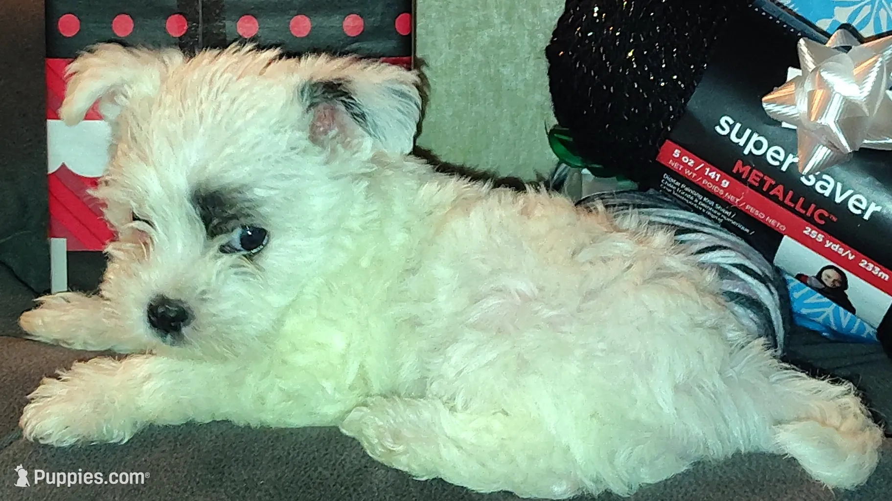 processed/bb93cd11-aa5d-405e-a39d-c226e25df1d6/listing/fe5ab4ad-73d1-4b4a-a422-a30295f632b2/868b4a44-d951-4c96-995f-1d6c9438c7dd