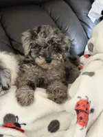 processed/bb9e89f7-9315-4f96-a297-107d789bb4f2/listing/8e2e5cb4-9369-485a-b8c2-abc193e11459/45c0e9a4-cea6-49e5-96b9-967e2000483a