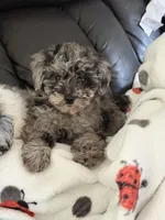 processed/bb9e89f7-9315-4f96-a297-107d789bb4f2/listing/8e2e5cb4-9369-485a-b8c2-abc193e11459/61a3d6f3-fa8e-486a-998a-d63809b706d6