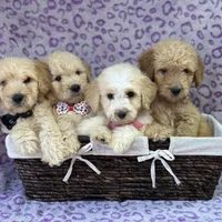 processed/bba197dd-e308-4e4e-8c22-f9874d2a47c1/facility/1554b3b5-46f4-4763-8f9c-288947f6d35d