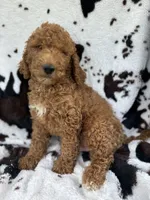 processed/bba197dd-e308-4e4e-8c22-f9874d2a47c1/facility/22e2fc83-9c02-4eaa-a918-5fead3f51019